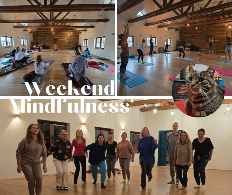 Read more about the article Weekend z Mindfulness